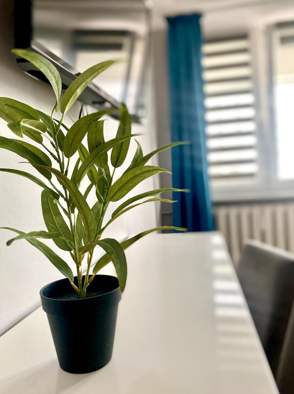 Doba Rent Pokoje Centrum Palacowa Białystok Buitenkant foto